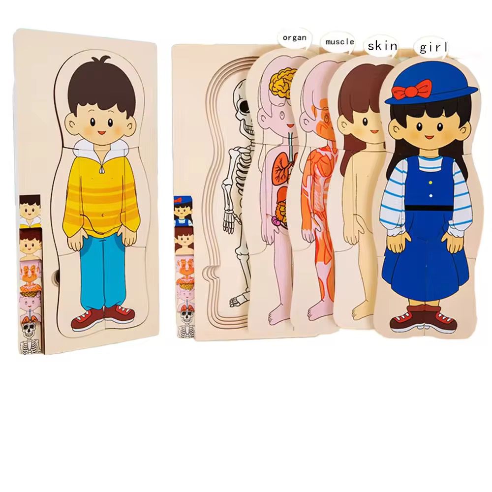 Multilayer wooden human anatomy puzzle with 5 layers for early learning and sequencing