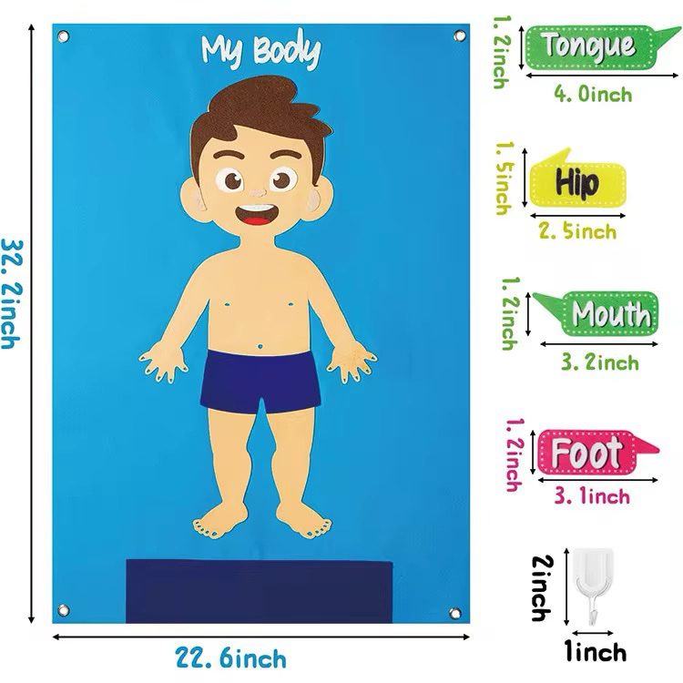 My Body Felt Board – Human Body Learning Activity for Toddlers, Preschoolers and Classrooms