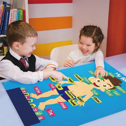 My Body Felt Board – Human Body Learning Activity for Toddlers, Preschoolers and Classrooms