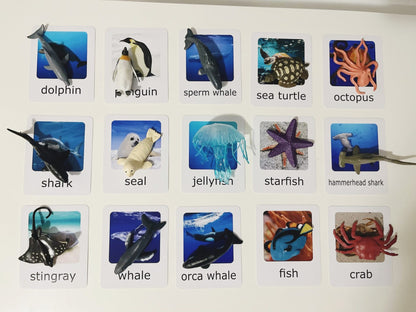 Montessori Animal Matching Set - Ocean Animals - Figurines and Cards