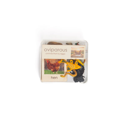 Clear Storage Box (13L cm x12W cm x 6H Cm)- Large Transparent Sorting and Organization Container for Montessori Activities