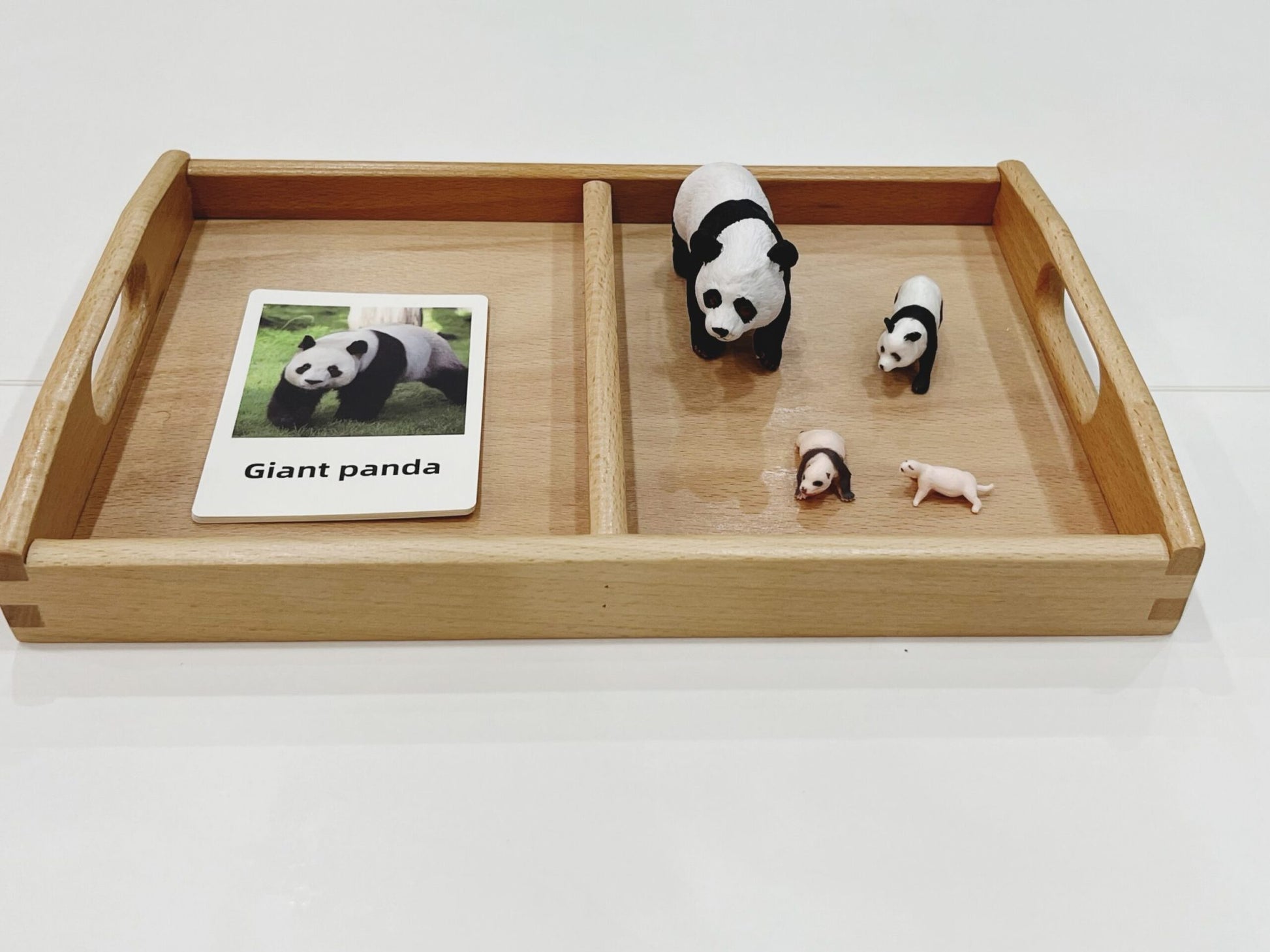 Panda life cycle Montessori activity with realistic figurines and matching picture cards for toddlers and preschoolers