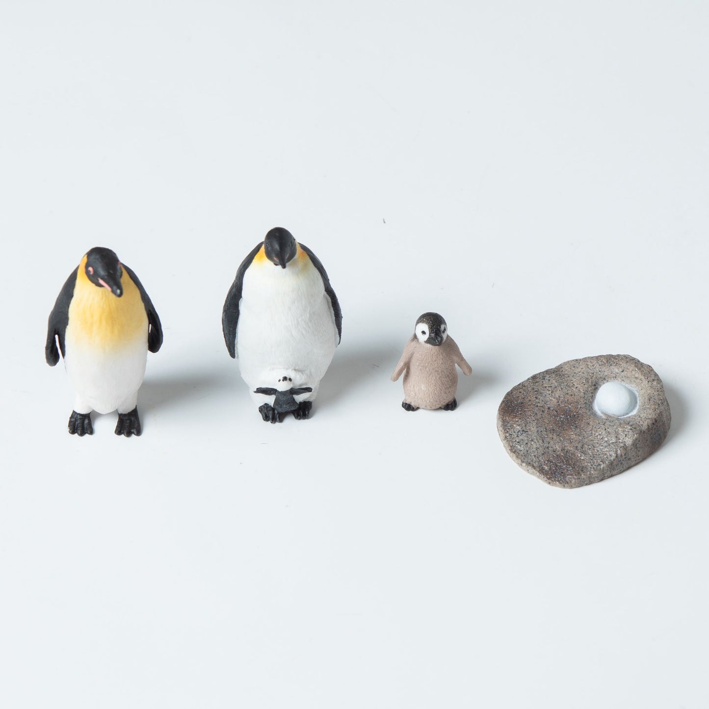 Penguin lifecycle figurines Montessori classroom material