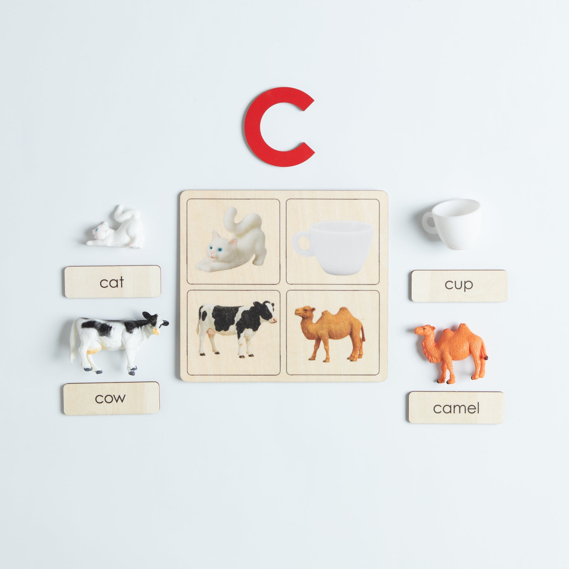 Phonics matching activity using wooden cards and real objects