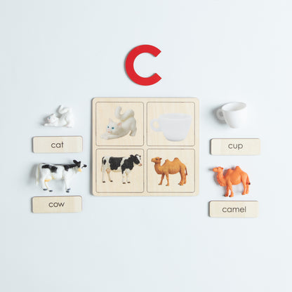 Phonics matching activity using wooden cards and real objects
