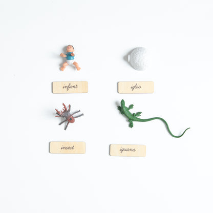 Phonics sound box Montessori objects set for beginning sound practice