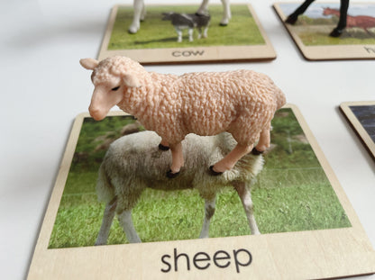 Toddler wild animals | African animals | Object to picture matching large animals set