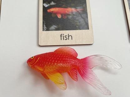 Pond Habitat | Montessori Culture Classification Set | Pond animals and lifecycles matching set