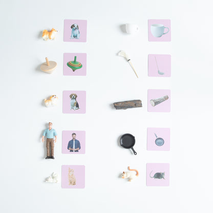 Montessori Pink Series rhyming words matching cards with miniature objects arranged for phonetic reading and word family practice