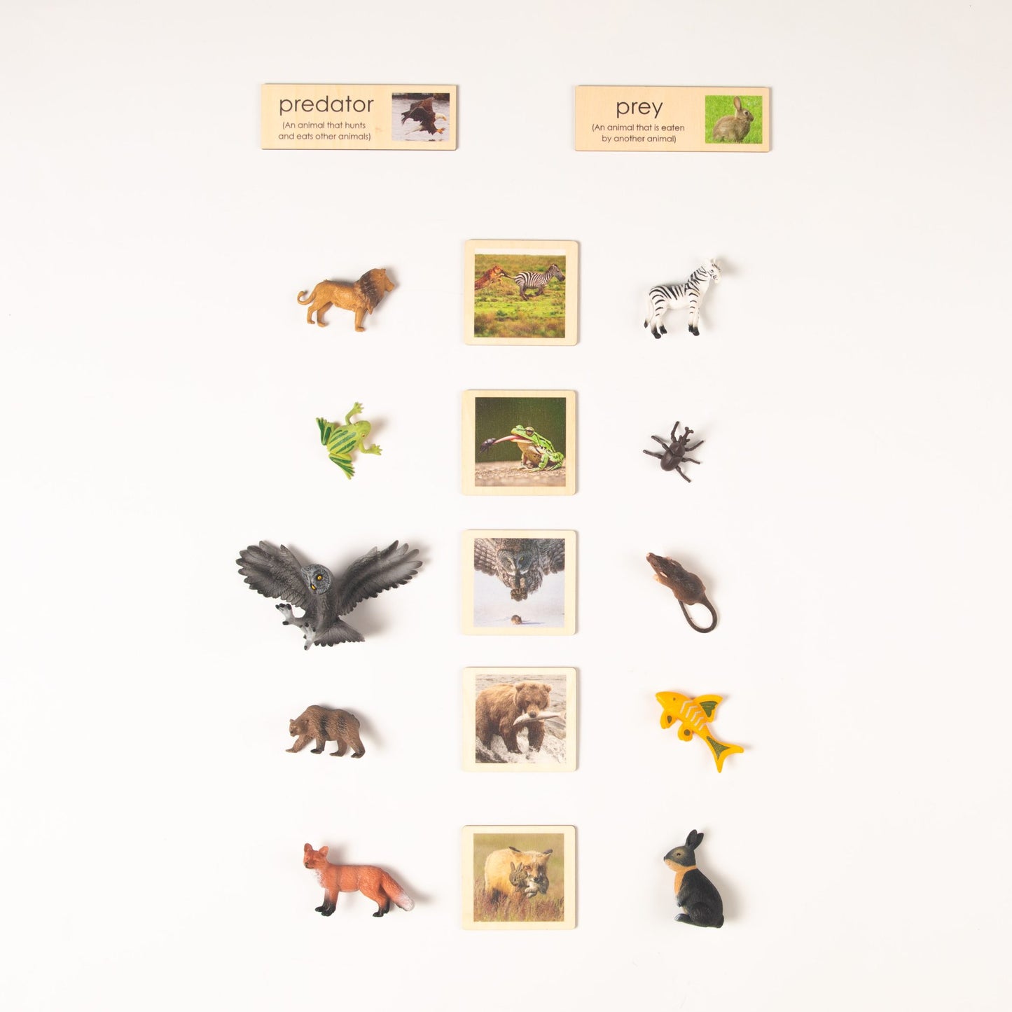 Montessori Prey and Predator Classification Set - Zoology Animal Sorting Material with Wooden Cards