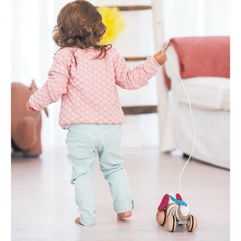 Hape Pull-Along Dog | Soft and Wooden Toy for Infants and Toddlers