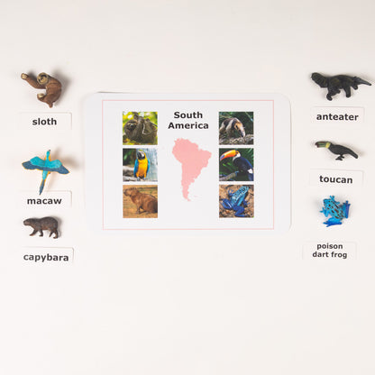 Montessori Animals of the Seven Continents - Bundle - Culture and Geography Classification