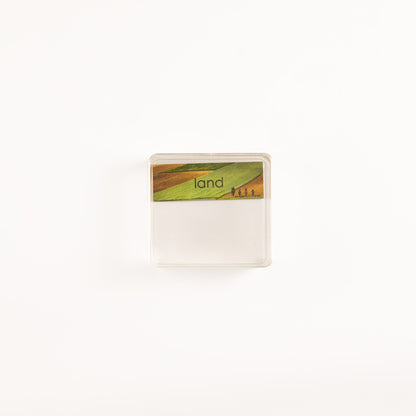 Clear Storage Box (13L cm x12W cm x 6H Cm)- Large Transparent Sorting and Organization Container for Montessori Activities