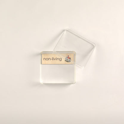 Clear Storage Box (13L cm x12W cm x 6H Cm)- Large Transparent Sorting and Organization Container for Montessori Activities