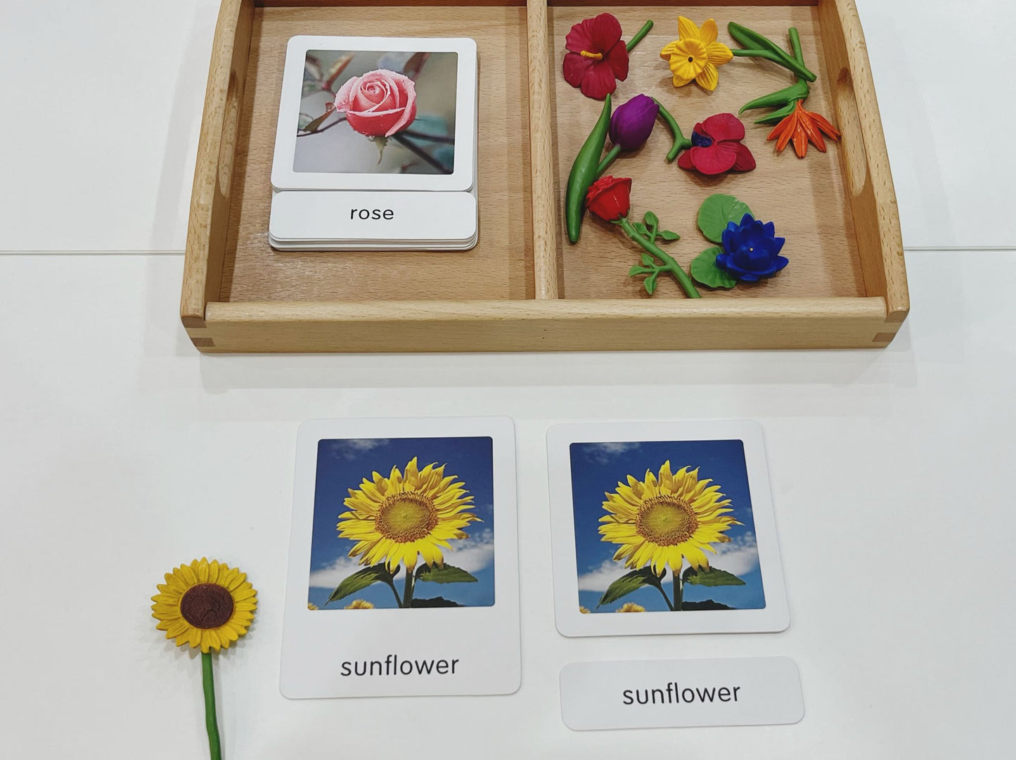 Montessori Classification Set - Flowers - 3-Part Cards (Classified Cards) with Mini Objects