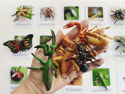 Montessori Animal Matching Set - Insects - Figurines and Cards