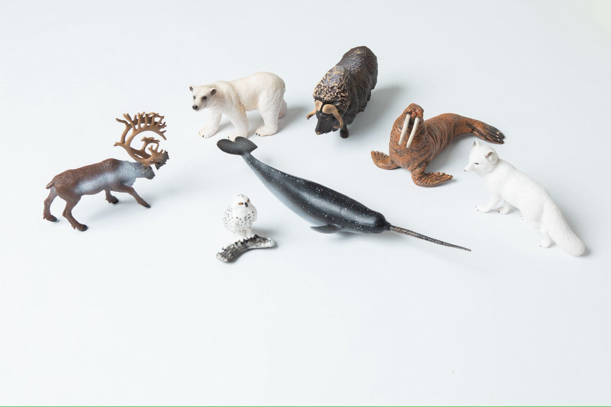 Toddler Montessori Arctic animal figures with matching picture cards