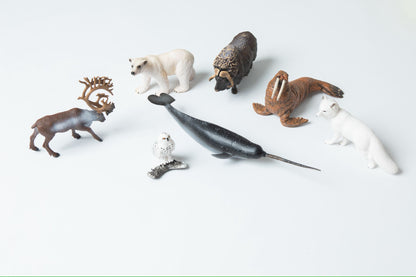 Toddler Montessori Arctic animal figures with matching picture cards