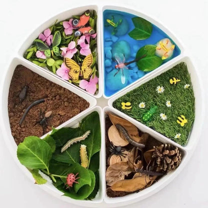 Open-Ended Sensory Play Tray - Wet and Dry Tray with Removable Compartments for Creative and Messy Play