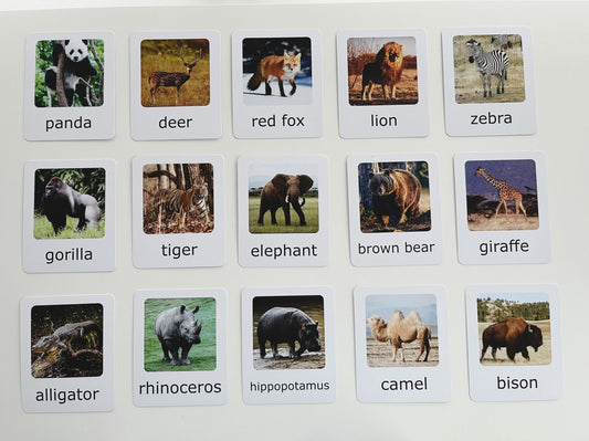 Montessori Animal Matching Set - Wild Animals - Figurines and Cards
