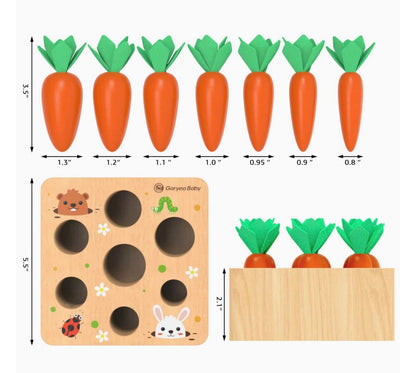 Wooden carrot harvest puzzle with pull out carrots showing size details educational toy for toddlers