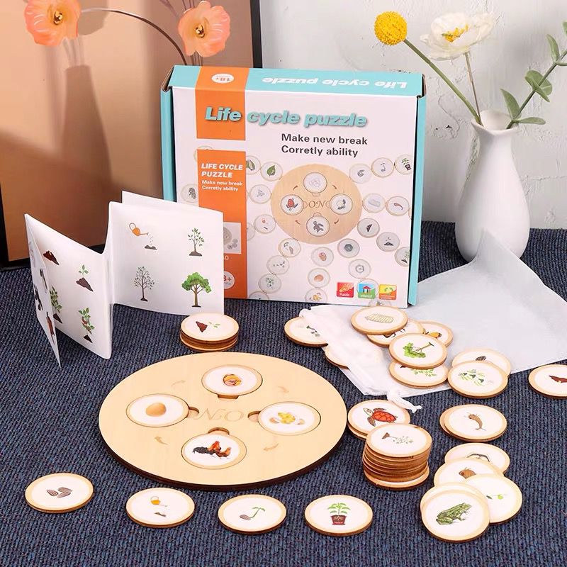Wooden lifecycle puzzle boards showing growth stages