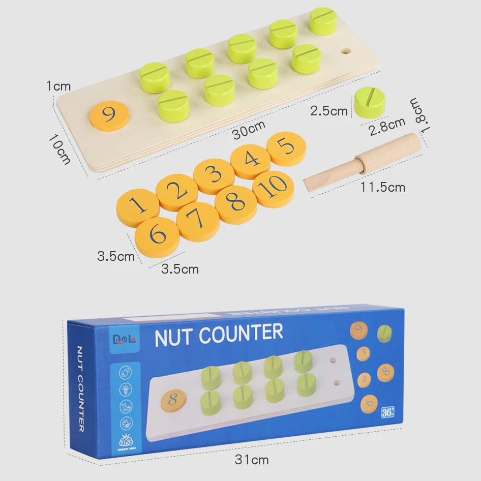 Wooden nut counter used in practical life activities to strengthen finger control and early math skills