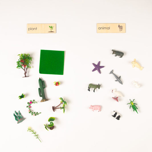 Montessori Plants and Animals Classification Set - Zoology Animal Sorting Material