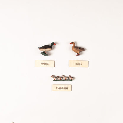 Montessori Farm Animal Families Classification Set - Zoology Animal Sorting Material